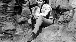 Visuel de Le démon de l'or