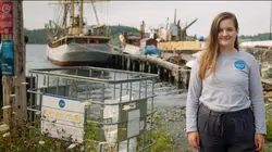 Le dernier chant de la baleine