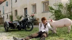 Visuel de Le dernier cochon