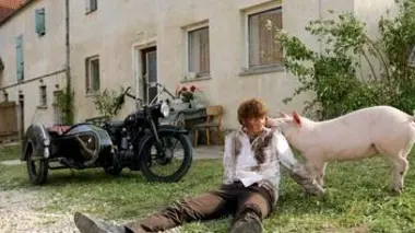 Le dernier cochon