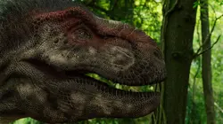 Le dernier jour des dinosaures