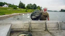 Le dernier pêcheur du Rhin