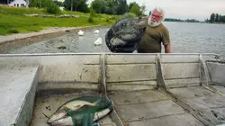 Le dernier pêcheur du Rhin