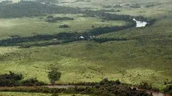 Visuel de Le dernier poumon du monde