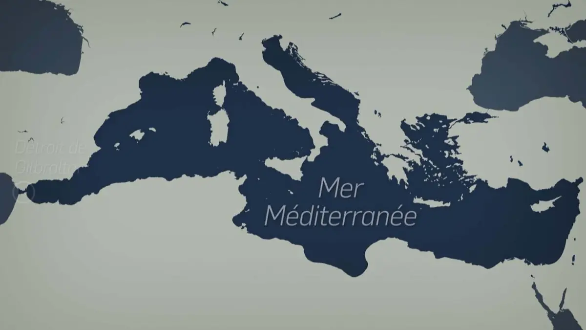 Le dessous des cartes La Méditerranée : une mer en danger