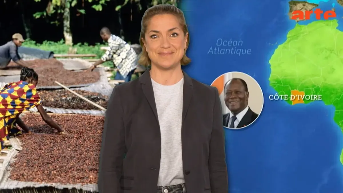 Le dessous des cartes : l'essentiel Afrique : l'année de la croissance ?