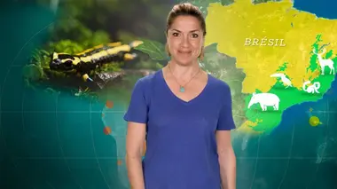 Replay du programme Le dessous des cartes : l'essentiel