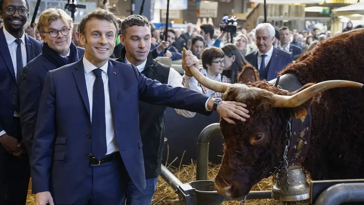 Le dessous des images Petit théâtre "au cul des vaches"