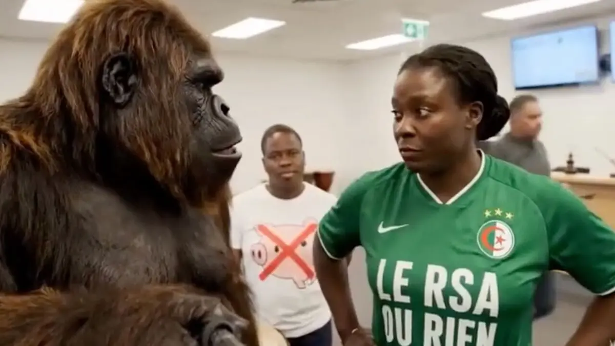 Le dessous des images Racisme en IA : gare aux gorilles !