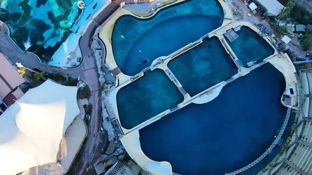Le dessous des images La magie disparue des zoos marins ?