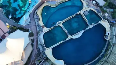 La magie disparue des zoos marins ?