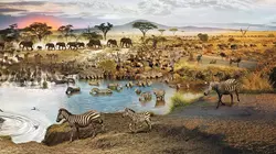 Le dessous des images La nature augmentée