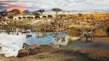 La nature augmentée