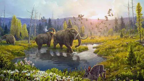 Le dessous des images L'ADN à remonter le temps