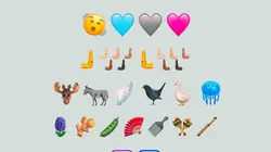 Le dessous des images