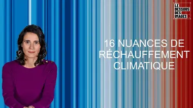 Warming stripes : 16 nuances de réchauffement