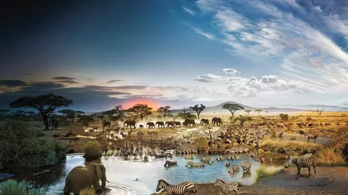 Le dessous des images La nature augmentée