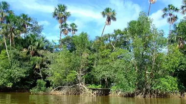Green Cops Guyane