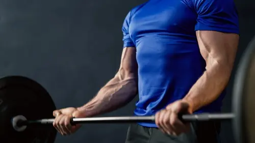 Le doc Quotidien Tout dans les muscles