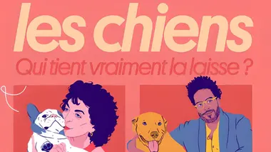 Les chiens : qui tient vraiment la laisse ?