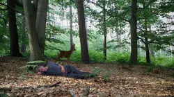 Le dormeur éveillé