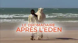 Visuel de Le dromadaire après l'eden