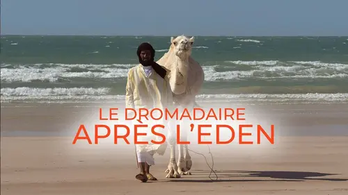 Le dromadaire après l'eden