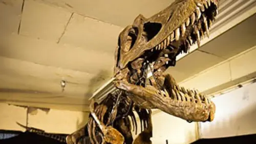 Le duel des dinosaures