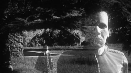 Le fantôme vagabond