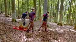 Le festin des animaux