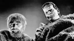 Visuel de Le fils de Frankenstein