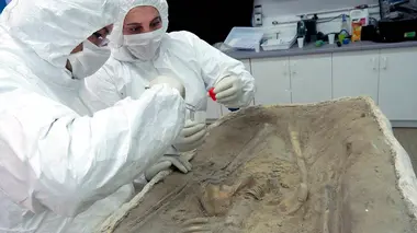 Le fils de Neandertal ou le secret de nos origines