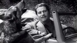 Visuel de Le fils de personne