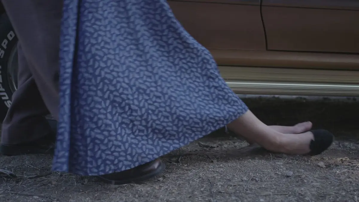 Visuel de Le fourgon de la mort Dans les bois