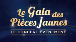 Le gala des Pièces jaunes : le concert événement