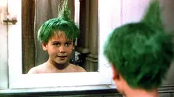 Visuel de Le garçon aux cheveux verts