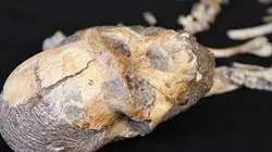 Visuel de Le garçon qui avait deux millions d'années