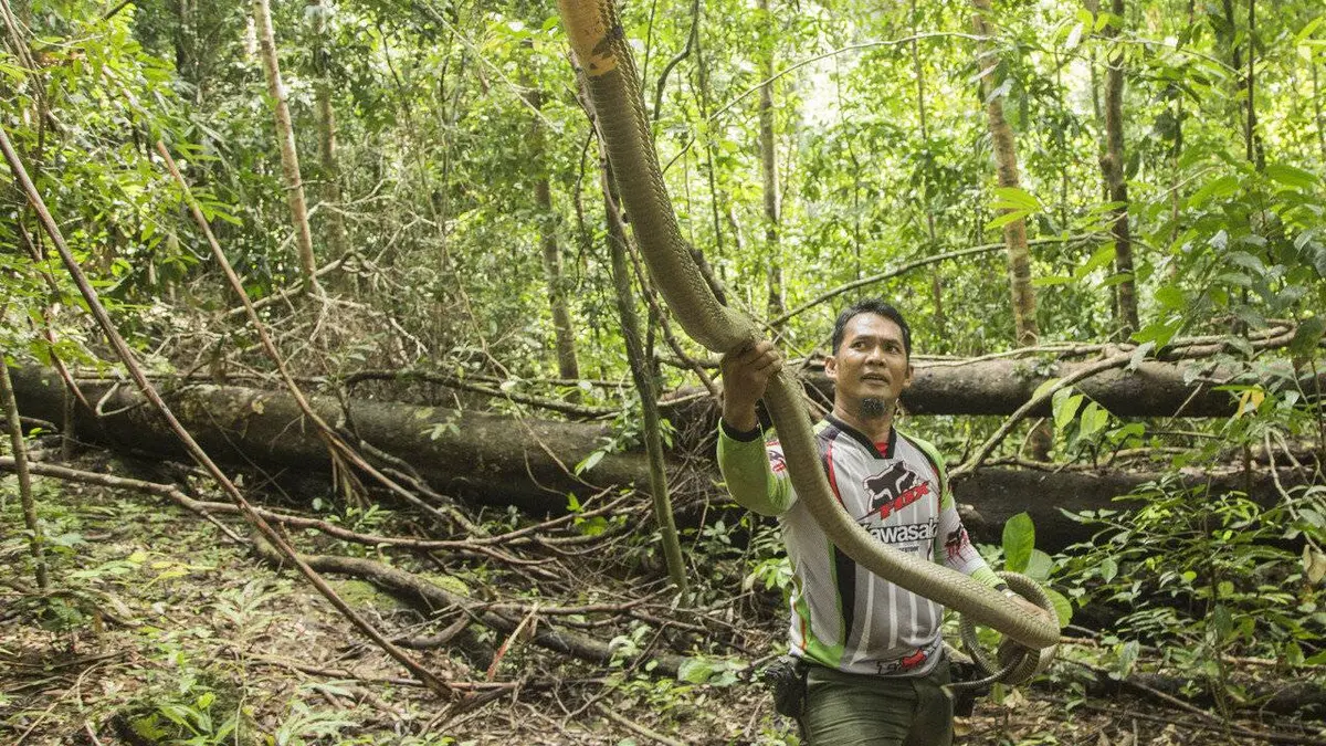 Le gardien des serpents