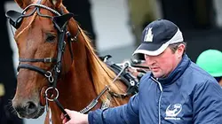 Sur Equidia à 23h00 : Le génie d'Aladin