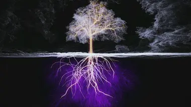 Le génie des arbres