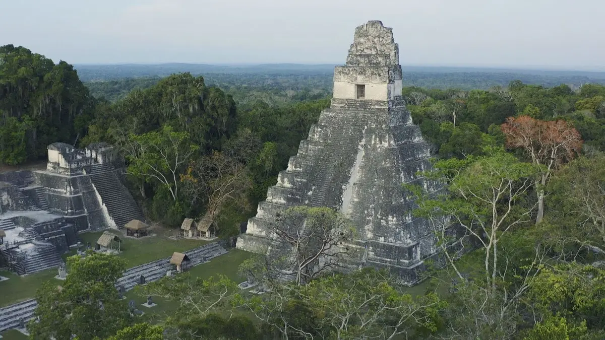 Le génie des bâtisseurs Tikal, la cité de la jungle