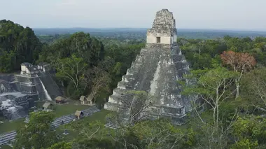 Tikal, la cité de la jungle