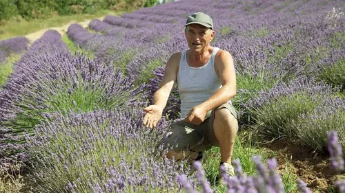 Le génie des plantes S01E01 En Provence
