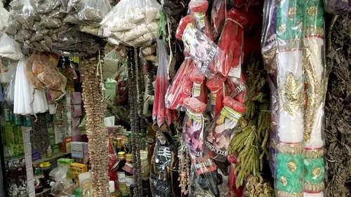 Épisodes de Le génie des plantes