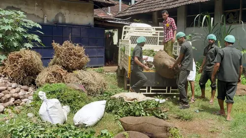 Le génie des plantes En Inde