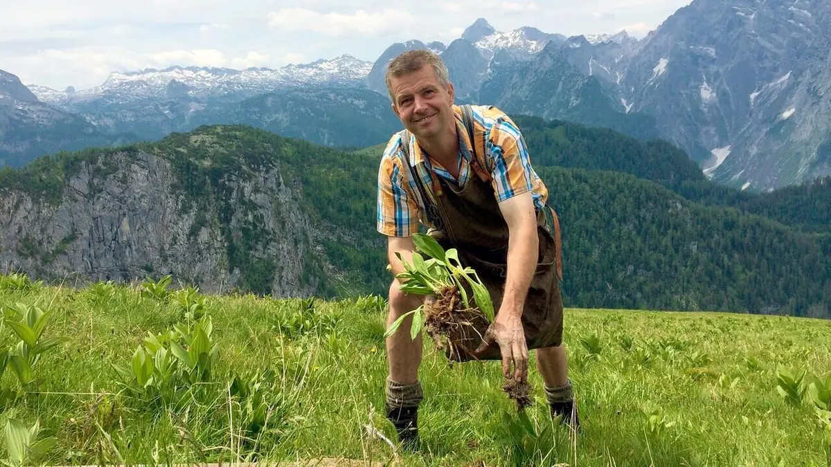 Le génie des plantes Dans les Alpes