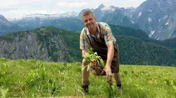 Le génie des plantes Dans les Alpes
