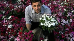 Visuel de Le génome humain