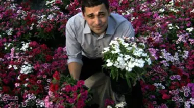 Déchiffrage du génome