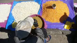 Le globe-cooker - Frédéric Chesneau Madagascar